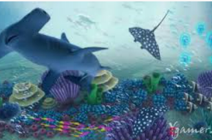 掌中彩welcome最新版